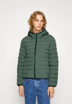 Lacoste Winter Jacket - Vert