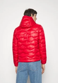 Blauer Hoody Jacket - Light Jacket - Red -Modern Classic Shoes Store 42778aa63a1b4a7aa8991f3d26207d35