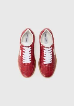Steve Madden EUPHORIA - Trainers - Dark Red 13 Steve Madden EUPHORIA - Trainers - Dark Red -Modern Classic Shoes Store 8b45d07150c44c6aa3790fa7d05a5f8f