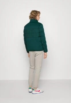 Tom Tailor Winter Jacket - Deep Green Lake -Modern Classic Shoes Store 8f387d9d63614c0c8d1d6caf2389ac1d