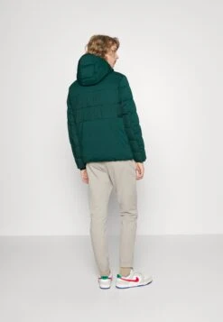 Tom Tailor Winter Jacket - Deep Green Lake -Modern Classic Shoes Store b4de30cd0b914f74a781c75c15075eed