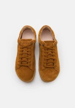 Birkenstock Bend Narrow Fit Unisex - Trainers - Brown -Modern Classic Shoes Store d2ddda8b4e464038bfc400cd0d675720