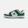 DC SHOES Manteca 4 - Skate Shoes - White/Green